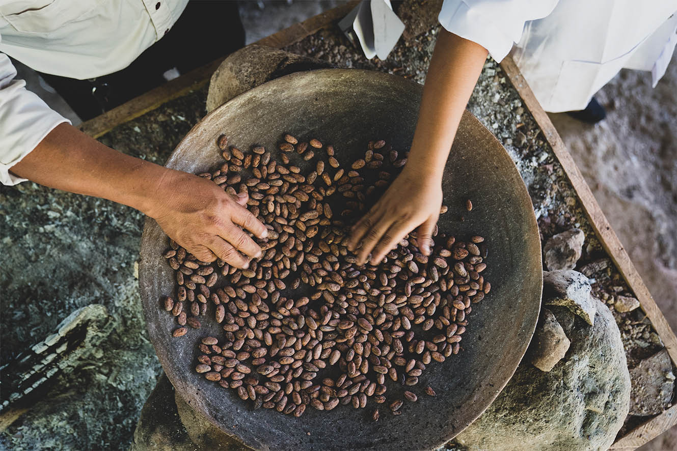 Hands roasting Cacao beans on ceramic pan over fire